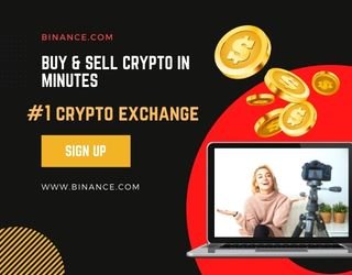 - Advertisement -